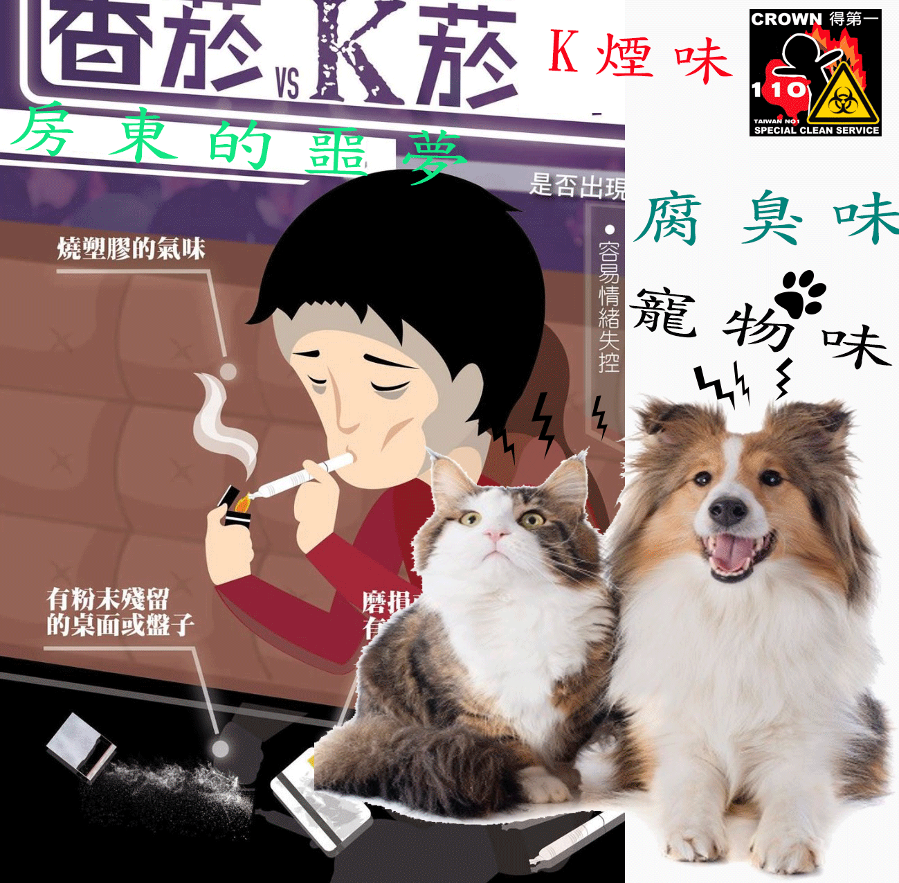 寵物k菸老鼠空調殺菌除臭